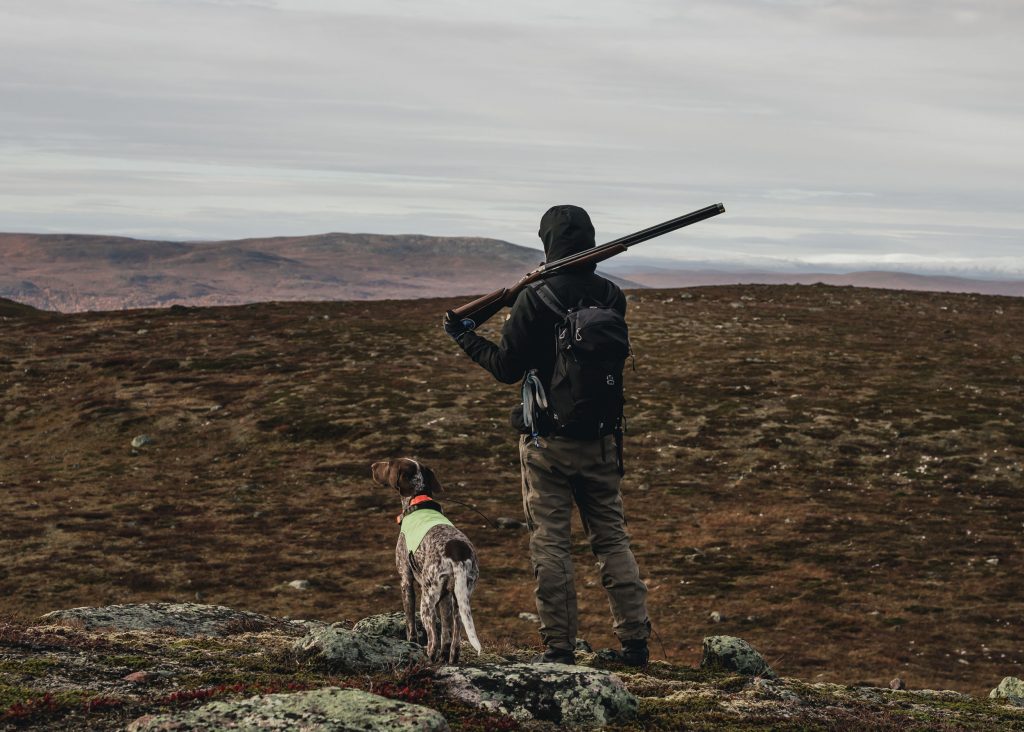 Ptarmigan hunting