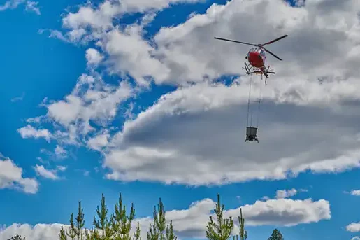 Helicopter Forest Fertilization