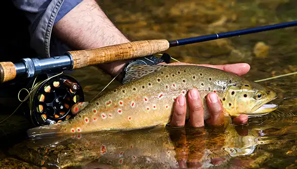 Mountain fishing Mountain fishing